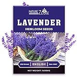1400 English Lavender Seeds for Planting Indoors or Outdoors, 90% Germination, to Give You The Lavender Plant You Need, Non-GMO, Heirloom Herb Seeds Photo, bestseller 2024-2023 new, best price $5.99 ($0.01 / Count) review