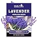 Photo 1400 English Lavender Seeds for Planting Indoors or Outdoors, 90% Germination, to Give You The Lavender Plant You Need, Non-GMO, Heirloom Herb Seeds new bestseller 2024-2023