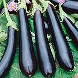 Seeds Eggplant Aubergine Long Pop Black Vegetable Heirloom for Planting Non GMO Photo, bestseller 2024-2023 new, best price $8.99 review