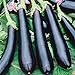 Photo Seeds Eggplant Aubergine Long Pop Black Vegetable Heirloom for Planting Non GMO new bestseller 2023-2022