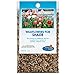 Photo Partial Shade Wildflower Seeds Bulk - Open-Pollinated Wildflower Seed Mix Packet, No Fillers, Annual, Perennial Wildflower Seeds Year Round Planting - 1 oz new bestseller 2023-2022