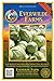 Photo Everwilde Farms - 500 Early Jersey Wakefield Cabbage Seeds - Gold Vault Jumbo Seed Packet new bestseller 2024-2023