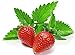 Photo 100+ Strawberry Mint Herb Seeds Non-GMO Fragrant Rare! US Grown! new bestseller 2024-2023