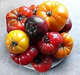 This is A Mix!!! 30+ Rainbow Deluxe Tomato Seeds Mix 16 Varieties, Heirloom Non-GMO, Indeterminate, Old German, Chocolate Stripes, Ukrainian Purple, Amish Paste USA Photo, bestseller 2024-2023 new, best price $5.69 review