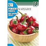Semillas de Pimiento picante red cherry small Foto, éxito de ventas 2024-2023 nuevo, mejor precio 1,62 € revisión