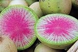 100 Radis Melon d'eau des graines de radis très unique Photo, best-seller 2024-2023 nouveau, meilleur prix 4,59 € examen