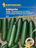 Kiepenkerl 2648 Salatgurke Tristan F1, resistente selbstbefruchtende Midi-Gurke, für Gewächshaus und Freiland geeignet, Fruchtlänge ca. 22 cm Foto, Bestseller 2024-2023 neu, bester Preis 5,99 € Rezension