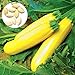 Foto 50 semillas de calabacín amarillo unids/bolsa fácil de crecer deliciosas verduras mini jardín decorar su patio Semillas de calabacín nuevo éxito de ventas 2024-2023