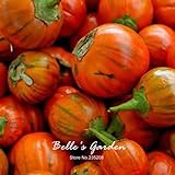Naranja berenjena 20pcs turca Vegetable Seeds Inicio Plantas Bonsai Garden bricolaje Foto, éxito de ventas 2024-2023 nuevo, mejor precio 14,98 € revisión