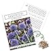 Foto Kugeldistel Samen (Echinops ritro) - Bienenfreundliche Blumen mit blauen Blütenköpfen für eine bunte Blumenwiese, das Beet, den Balkon und die Terrasse neu Bestseller 2024-2023