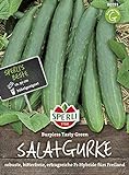 Gurkensamen - Gurke, Burpless Tasty Green F1 Hybride von Sperli-Samen Foto, Bestseller 2024-2023 neu, bester Preis 4,74 € Rezension