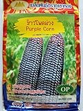 Thai Purple Waxy Glutinous Corn Seeds Photo, bestseller 2024-2023 new, best price $6.99 ($13.19 / Ounce) review
