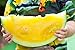 Foto Gelb Wassermelone JANOSIK Samen - Wassermelone neu Bestseller 2024-2023