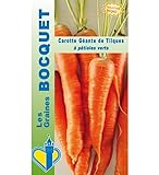 Sachet de graines de Carotte géante de Tilques - 2 g - légume racine - LES GRAINES BOCQUET Photo, best-seller 2024-2023 nouveau, meilleur prix 5,49 € (2 745,00 € / kg) examen