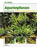 Ihr Hobby: Aquarienpflanzen Foto, Bestseller 2024-2023 neu, bester Preis 10,90 € Rezension