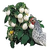 Park Seed Easter Egg Plant Seeds Photo, bestseller 2024-2023 new, best price $7.95 review