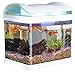 Foto Sweetypet Aquarium: Transport-Fischbecken mit Filter, LED-Beleuchtung und USB, 3,3 Liter (Mini Aquarium) neu Bestseller 2023-2022
