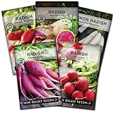 Sow Right Seeds - Radish Seed Collection for Planting - Champion, Watermelon, French Breakfast, China Rose, and Minowase (Diakon) Varieties - Non-GMO Heirloom Seed to Plant a Home Vegetable Garden Photo, bestseller 2024-2023 new, best price $10.99 review