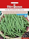 Filet-Buschbohnen Delinel Foto, Bestseller 2024-2023 neu, bester Preis 4,09 € Rezension