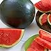 Photo Watermelon, Black Diamond, Heirloom, 50 Seeds, Super Sweet Round Melon new bestseller 2023-2022