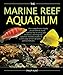Photo The Marine Reef Aquarium new bestseller 2024-2023