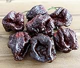 Hot Chili Pfeffer Trinidad Scorpion Brown - Pepper - 10 Samen Foto, Bestseller 2024-2023 neu, bester Preis 1,70 € Rezension