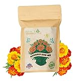 NatureZ Edge Marigold Seeds Mix, Over 5600 Seeds, Marigold Seeds for Planting Outdoors, Dainty Marietta, Petite French, Sparky French, and More Photo, bestseller 2024-2023 new, best price $10.97 ($0.00 / Count) review
