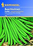 Kiepenkerl Buschbohnen 'Duplika',1 Portion Foto, Bestseller 2024-2023 neu, bester Preis 3,21 € Rezension