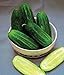 Photo Cucumber, National Pickling Cucumber Seed, Heirloom,25 Seeds, Great for Pickling new bestseller 2024-2023