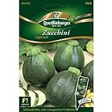 Zucchini 'Eight Ball' F1, 1 Tüte Samen Foto, Bestseller 2024-2023 neu, bester Preis 4,27 € (0,36 € / stück) Rezension