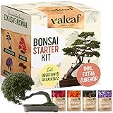 valeaf Bonsai Starter Kit - SUMMER SALE - Züchten Sie Ihren eigenen Bonsai Baum - Anzuchtset inkl. 4 Sorten Bonsai Samen & Zubehör - für Anfänger - das ideale Geschenk zum Baum pflanzen Foto, Bestseller 2024-2023 neu, bester Preis 14,99 € Rezension