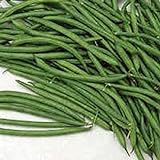 Burpee Stringless Green Bush Bean - 25 Count Seed Pack - Non-GMO - A Culinary Star, pods are Delicious in Many Foods. - Country Creek LLC Photo, bestseller 2024-2023 new, best price $1.99 review