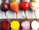 Rainbow Mix Heirloom Beet Seeds Gold, White, Red and Chioggia! bin316 (180+ Seeds, or 1/8 oz) Photo, bestseller 2024-2023 new, best price $4.39 review