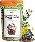 90,000 Wildflower Seeds - 3oz Pure Wild Flower Seed Pack - 18 Variety - Perennial Flower Seeds for Attracting Birds & Butterflies - Open Pollinated, Flower Garden Seeds for Planting Outdoors Photo, bestseller 2024-2023 new, best price $18.98 ($0.00 / Count) review