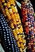 Photo NIKA SEEDS - Vegetable Corn Montana Mix Heirloom for Salads - 50 Seeds new bestseller 2024-2023