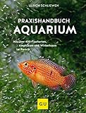 Praxishandbuch Aquarium: Mit über 400 Fischarten, Amphibien und Wirbellosen im Porträt. Der Bestseller jetzt komplett neu überarbeitet (GU Standardwerk) Foto, Bestseller 2024-2023 neu, bester Preis 19,99 € Rezension
