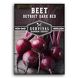 Survival Garden Seeds - Detroit Dark Red Beet Seed for Planting - Packet with Instructions to Plant and Grow Delicious Root Vegetables in Your Home Vegetable Garden - Non-GMO Heirloom Variety Photo, bestseller 2024-2023 new, best price $4.99 review