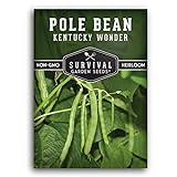 Survival Garden Seeds - Kentucky Wonder Pole Bean Seed for Planting - Packet with Instructions to Plant and Grow Delicious Snap Beans in Your Home Vegetable Garden - Non-GMO Heirloom Variety Photo, bestseller 2024-2023 new, best price $5.49 review