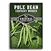 Photo Survival Garden Seeds - Kentucky Wonder Pole Bean Seed for Planting - Packet with Instructions to Plant and Grow Delicious Snap Beans in Your Home Vegetable Garden - Non-GMO Heirloom Variety new bestseller 2023-2022