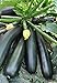 Photo Seeds Zucchini Squash Black Beauty Vegetable for Planting Heirloom Non GMO new bestseller 2024-2023