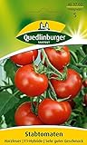 Tomatensamen - Tomate Harzfeuer F1 von Quedlinburger Saatgut Foto, Bestseller 2024-2023 neu, bester Preis 2,81 € Rezension