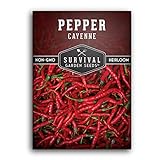 Survival Garden Seeds - Red Cayenne Pepper Seed for Planting - Packet with Instructions to Plant and Grow Hot Chili Peppers in Your Home Vegetable Garden - Non-GMO Heirloom Variety - Single Pack Photo, bestseller 2024-2023 new, best price $4.99 review