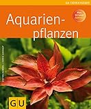 Aquarienpflanzen Foto, Bestseller 2024-2023 neu, bester Preis 9,99 € Rezension