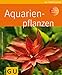 Foto Aquarienpflanzen neu Bestseller 2024-2023