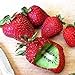 Foto Samen für Pflanzen, 20 Stück gepfropfte Kiwi-Erdbeer-Samen, Bonsai, köstliche Obst-Gartenpflanzen-Dekoration – Kiwi-Erdbeer-Samen neu Bestseller 2024-2023