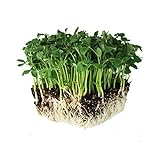 Speckled Pea Sprouting Seeds - 5 Lbs - Certified Organic, Non-GMO Green Pea Sprout Seeds - Sprouts & Microgreens Photo, bestseller 2024-2023 new, best price $23.46 review