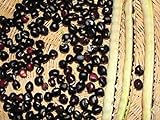 Black Crowder Pea Seeds - Heavy yields of Dark Purple cowpeas!! (200 - Seeds) Photo, bestseller 2024-2023 new, best price $14.99 review