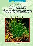 Grundkurs Aquarienpflanzen Foto, Bestseller 2024-2023 neu, bester Preis 1,97 € Rezension