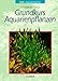 Foto Grundkurs Aquarienpflanzen neu Bestseller 2024-2023