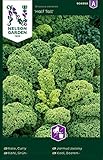 Grünkohl Samen Half Tall - Nelson Garden Gemüse Saatgut - Grünkohlsamen (425 Stück) (Einzelpackung)(Grünkohl Samen Half Tall) Foto, Bestseller 2024-2023 neu, bester Preis 3,95 € Rezension
